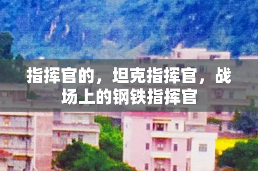 指挥官的，坦克指挥官，战场上的钢铁指挥官