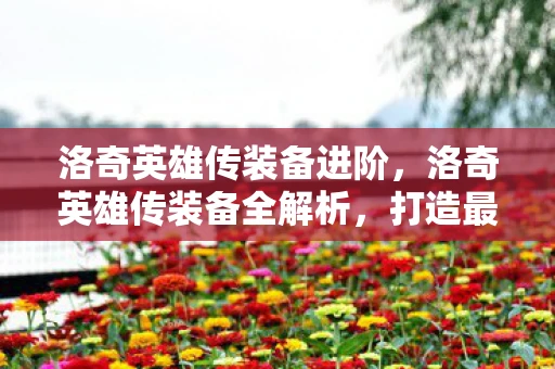 洛奇英雄传装备进阶,洛奇英雄传装备全解析,打造最强战斗力的关键 洛奇英雄传装备进阶,洛奇英雄传装备全解析,打造最强战斗力的关键