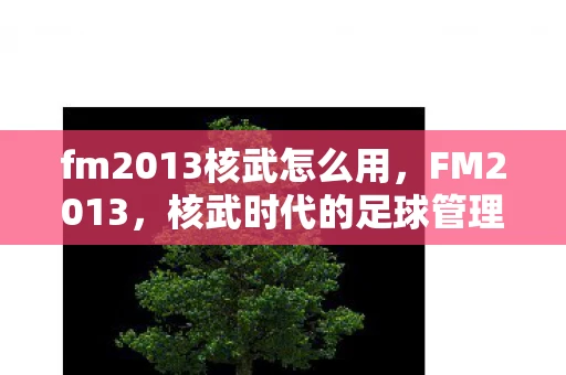 fm2013核武怎么用,FM2013,核武时代的足球管理艺术 fm2013核武怎么用,FM2013,核武时代的足球管理艺术