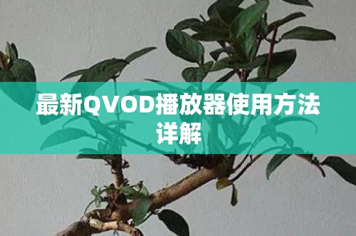 最新QVOD播放器使用方法详解图片