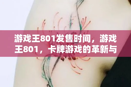 游戏王801发售时间，游戏王801，卡牌游戏的革新与传承