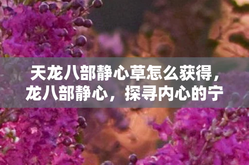 天龙八部静心草怎么获得，龙八部静心，探寻内心的宁静与力量