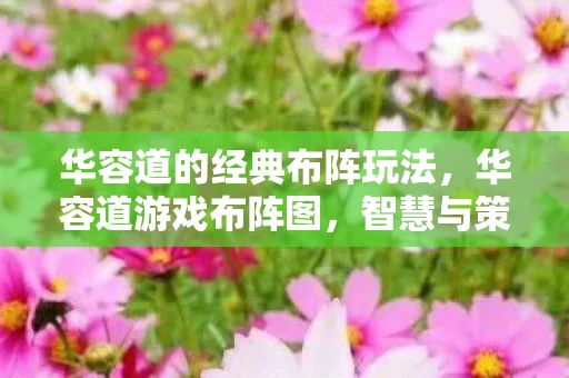 华容道的经典布阵玩法，华容道游戏布阵图，智慧与策略的完美结合