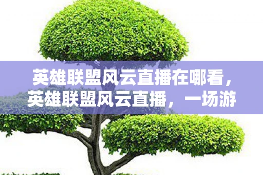 英雄联盟风云直播在哪看，英雄联盟风云直播，一场游戏，无限可能