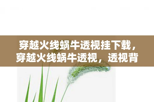 穿越火线蜗牛透视挂下载，穿越火线蜗牛透视，透视背后的真相与反思