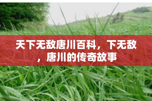 天下无敌唐川百科，下无敌，唐川的传奇故事