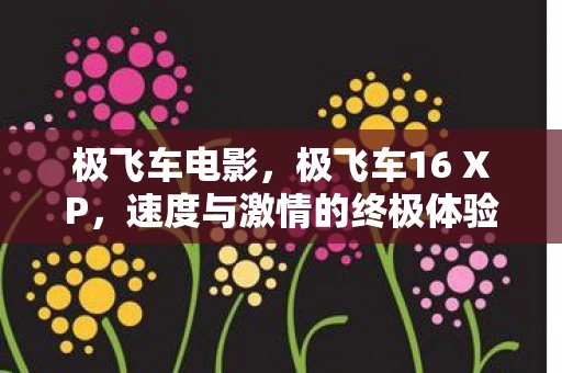 极飞车电影，极飞车16 XP，速度与激情的终极体验