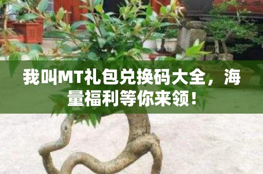 我叫MT礼包兑换码大全图片