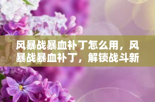 风暴战暴血补丁怎么用，风暴战暴血补丁，解锁战斗新境界