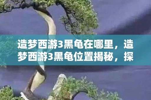 造梦西游3黑龟在哪里，造梦西游3黑龟位置揭秘，探寻隐藏的黑龟巢穴