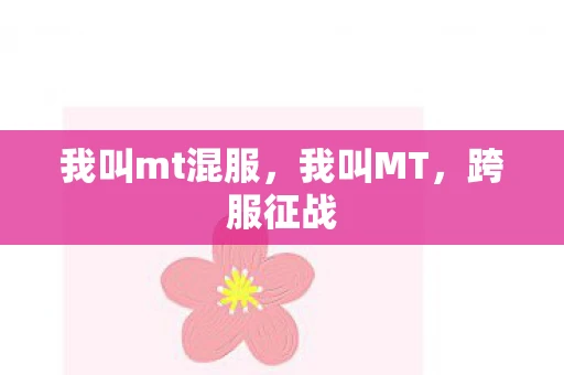 我叫mt混服，我叫MT，跨服征战