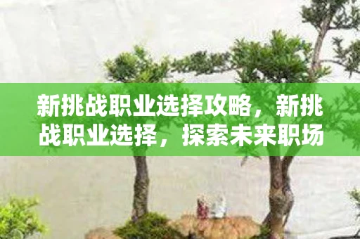 新挑战职业选择攻略,新挑战职业选择,探索未来职场的新机遇 新挑战职业选择攻略,新挑战职业选择,探索未来职场的新机遇