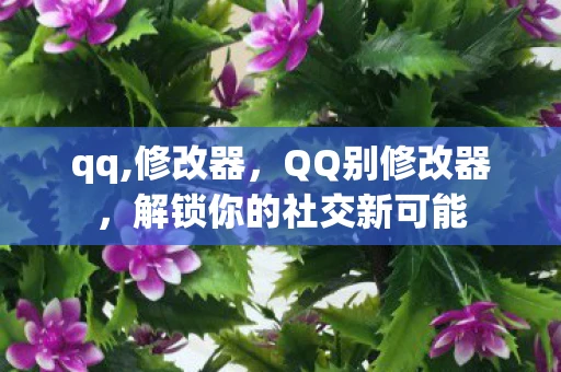 qq,修改器，QQ别修改器，解锁你的社交新可能