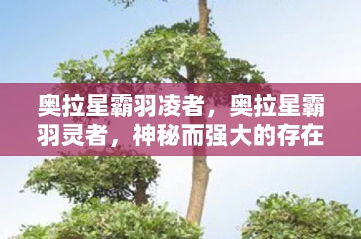 奥拉星霸羽凌者，奥拉星霸羽灵者，神秘而强大的存在
