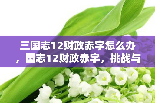 三国志12财政赤字怎么办,国志12财政赤字,挑战与机遇并存 三国志12财政赤字怎么办,国志12财政赤字,挑战与机遇并存