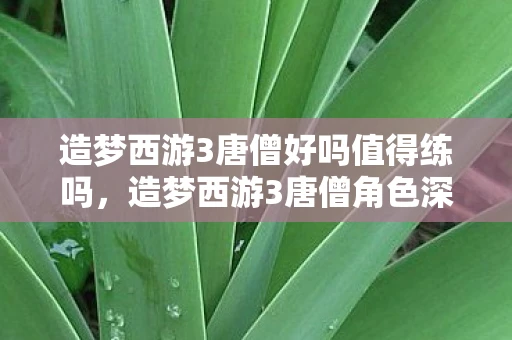 造梦西游3唐僧好吗值得练吗，造梦西游3唐僧角色深度解析