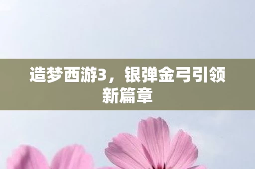 银弹金弓引领新篇章图片