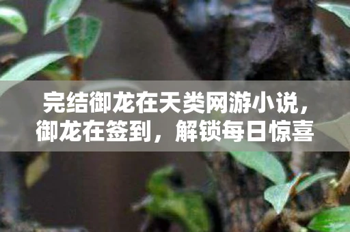 完结御龙在天类网游小说,御龙在签到,解锁每日惊喜,探索无限可能 完结御龙在天类网游小说,御龙在签到,解锁每日惊喜,探索无限可能