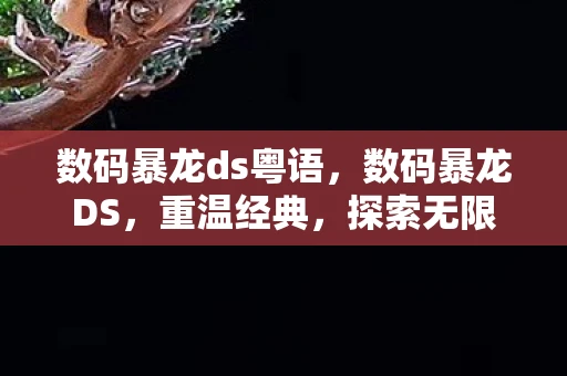 数码暴龙ds粤语,数码暴龙DS,重温经典,探索无限可能 数码暴龙ds粤语,数码暴龙DS,重温经典,探索无限可能