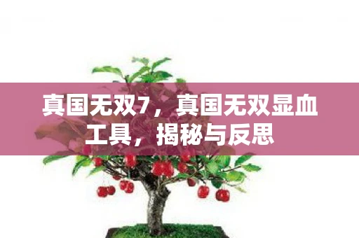 真国无双7，真国无双显血工具，揭秘与反思