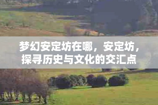 梦幻安定坊在哪，安定坊，探寻历史与文化的交汇点