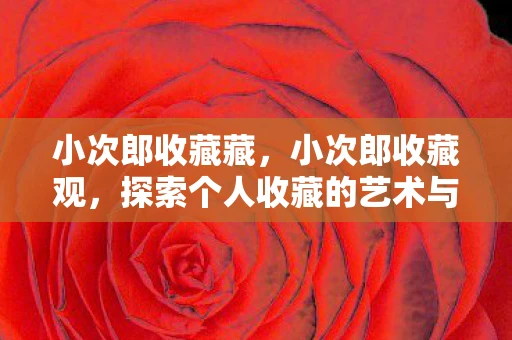 小次郎收藏藏，小次郎收藏观，探索个人收藏的艺术与意义