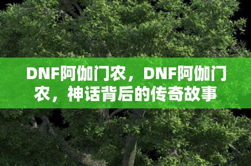 DNF阿伽门农，DNF阿伽门农，神话背后的传奇故事