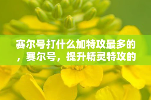 赛尔号打什么加特攻最多的，赛尔号，提升精灵特攻的终极攻略