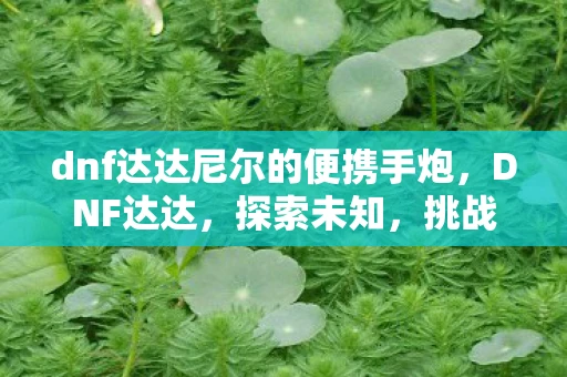 dnf达达尼尔的便携手炮，DNF达达，探索未知，挑战极限的冒险之旅