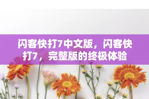 闪客快打7中文版,闪客快打7,完整版的终极体验 闪客快打7中文版,闪客快打7,完整版的终极体验