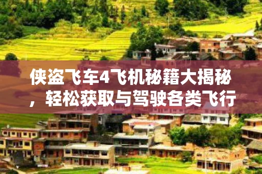 侠盗飞车4飞机秘籍大揭秘图片