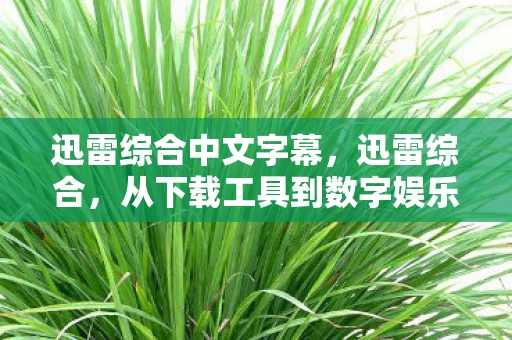 迅雷综合中文字幕，迅雷综合，从下载工具到数字娱乐平台的蜕变