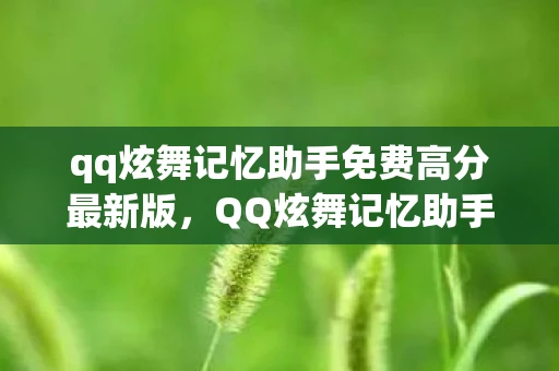 qq炫舞记忆助手免费高分最新版，QQ炫舞记忆助手，免费获取高分的秘籍