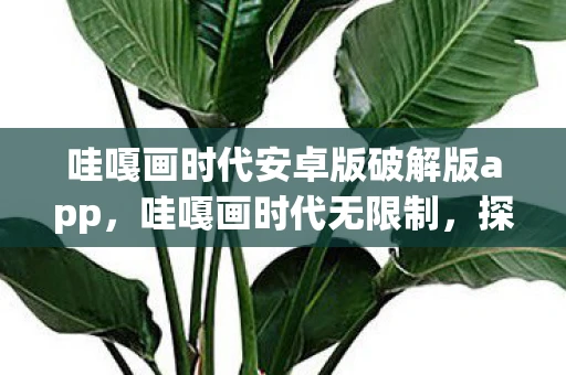 哇嘎画时代安卓版破解版app，哇嘎画时代无限制，探索创意的无限可能