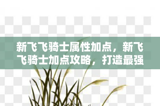 新飞飞骑士属性加点，新飞飞骑士加点攻略，打造最强战斗力的骑士