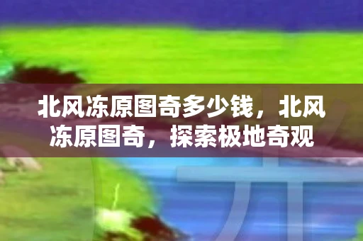北风冻原图奇多少钱，北风冻原图奇，探索极地奇观