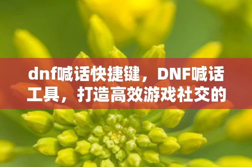 dnf喊话快捷键，DNF喊话工具，打造高效游戏社交的利器