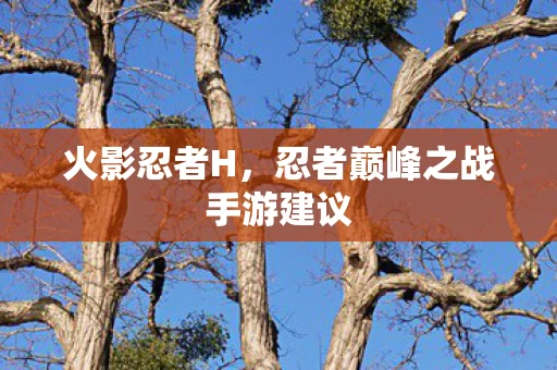忍者巅峰之战手游建议图片
