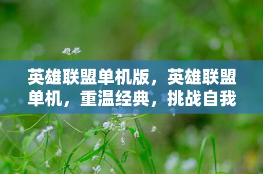 英雄联盟单机版,英雄联盟单机,重温经典,挑战自我 英雄联盟单机版,英雄联盟单机,重温经典,挑战自我