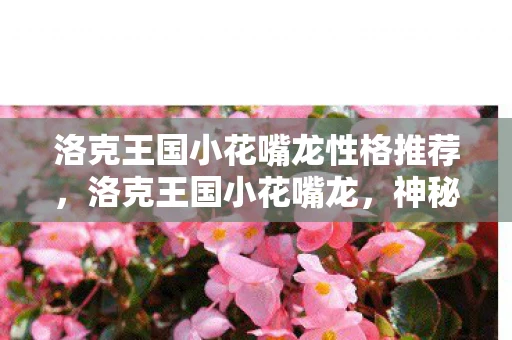 洛克王国小花嘴龙性格推荐,洛克王国小花嘴龙,神秘而迷人的远古生物 洛克王国小花嘴龙性格推荐,洛克王国小花嘴龙,神秘而迷人的远古生物