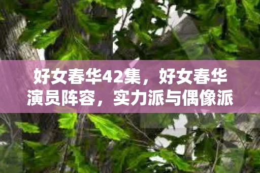 好女春华42集，好女春华演员阵容，实力派与偶像派的精彩碰撞
