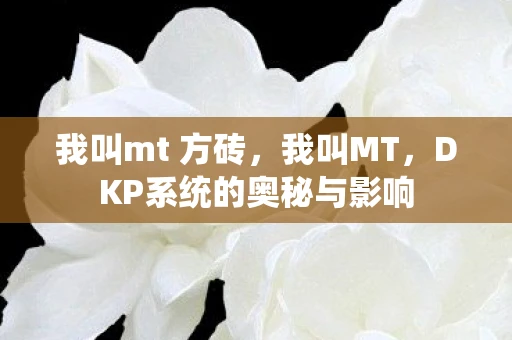 我叫mt 方砖，我叫MT，DKP系统的奥秘与影响