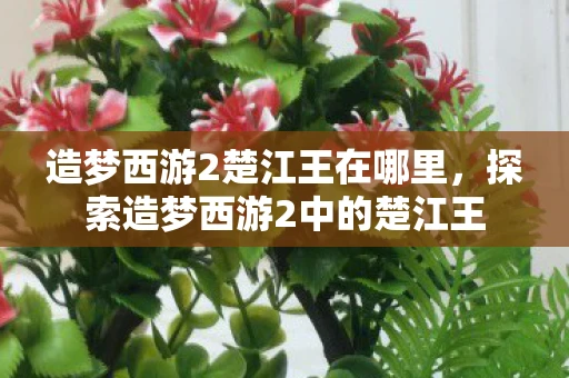 造梦西游2楚江王在哪里，探索造梦西游2中的楚江王