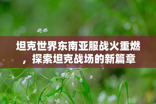 坦克世界东南亚服战火重燃图片