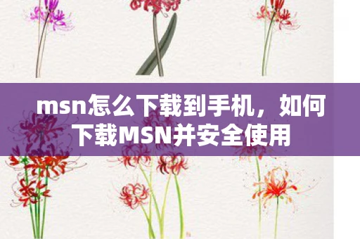 msn怎么下载到手机，如何下载MSN并安全使用