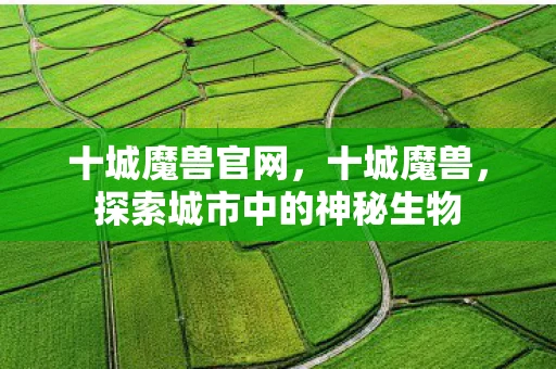 十城魔兽官网,十城魔兽,探索城市中的神秘生物 十城魔兽官网,十城魔兽,探索城市中的神秘生物