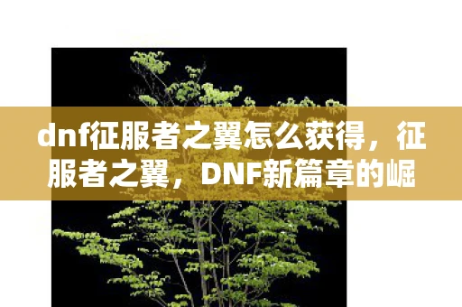 dnf征服者之翼怎么获得，征服者之翼，DNF新篇章的崛起