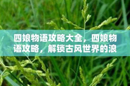 四娘物语攻略大全，四娘物语攻略，解锁古风世界的浪漫之旅