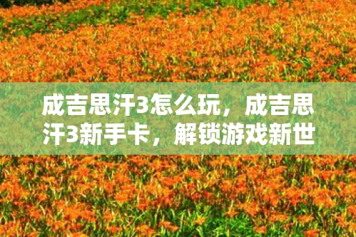 成吉思汗3怎么玩，成吉思汗3新手卡，解锁游戏新世界的钥匙