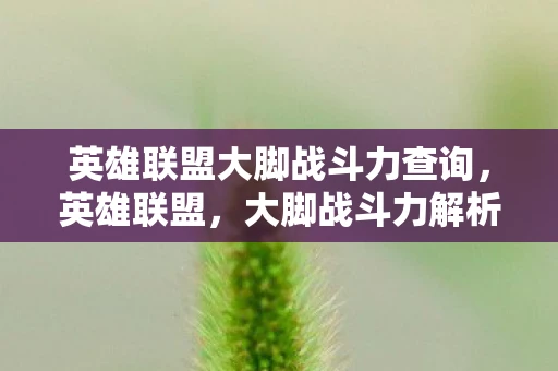英雄联盟大脚战斗力查询,英雄联盟,大脚战斗力解析 英雄联盟大脚战斗力查询,英雄联盟,大脚战斗力解析